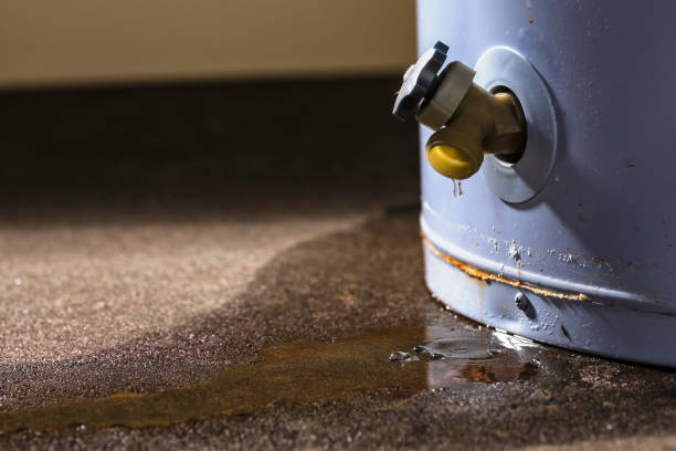 Best Flood damage cleanup  in Ash Grove, MO