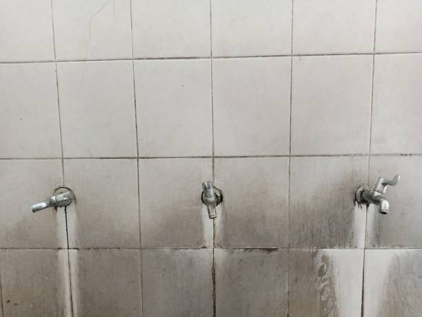 Best Carpet water damage restoration  in Ash Grove, MO