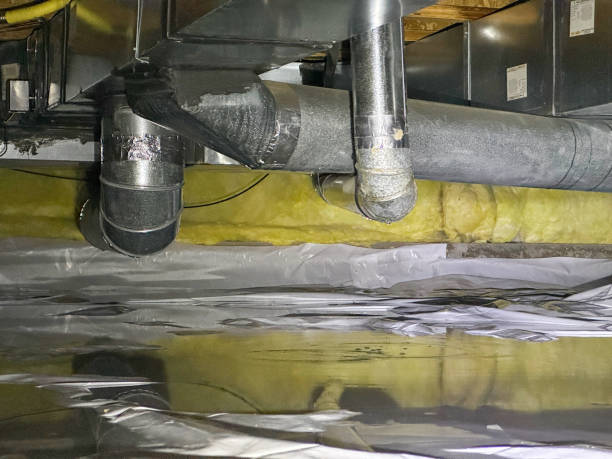 Best Water damage restoration specialists  in Ash Grove, MO