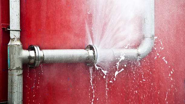 Best Basement water damage restoration  in Ash Grove, MO